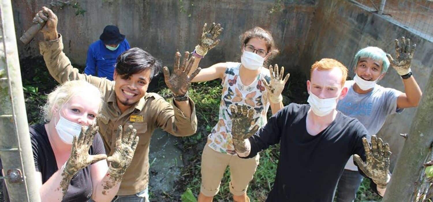 Animal care volunteer project Indonesia