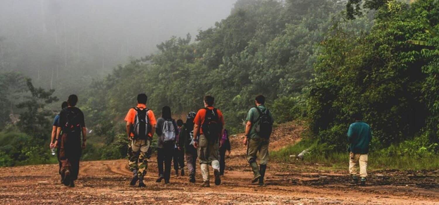 rainforest conservation research project malaysia