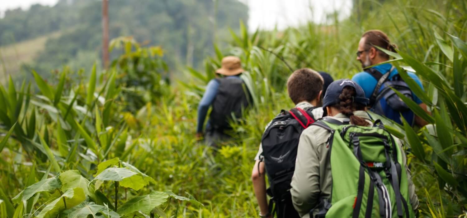 Rainforest research conservation volunteer project