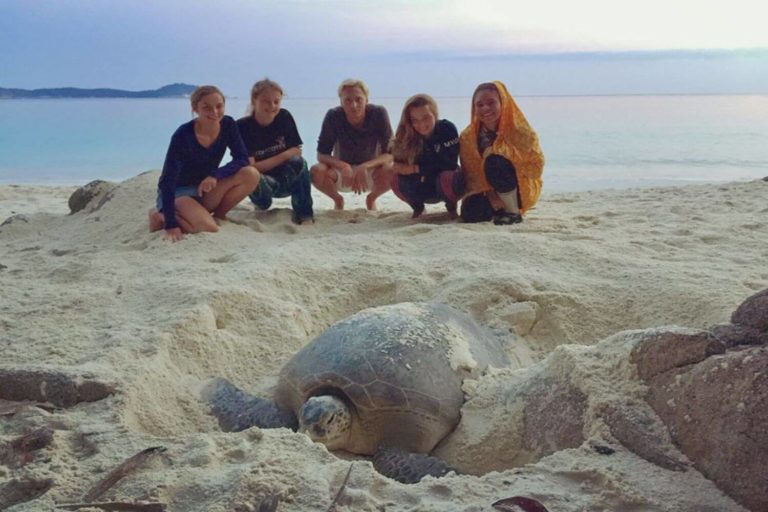 Perhentian turtle conservation volunteer project