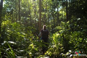 rainforest volunteer in malaysia