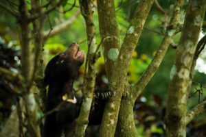 Animal care school trip In jogja Yogyakarta