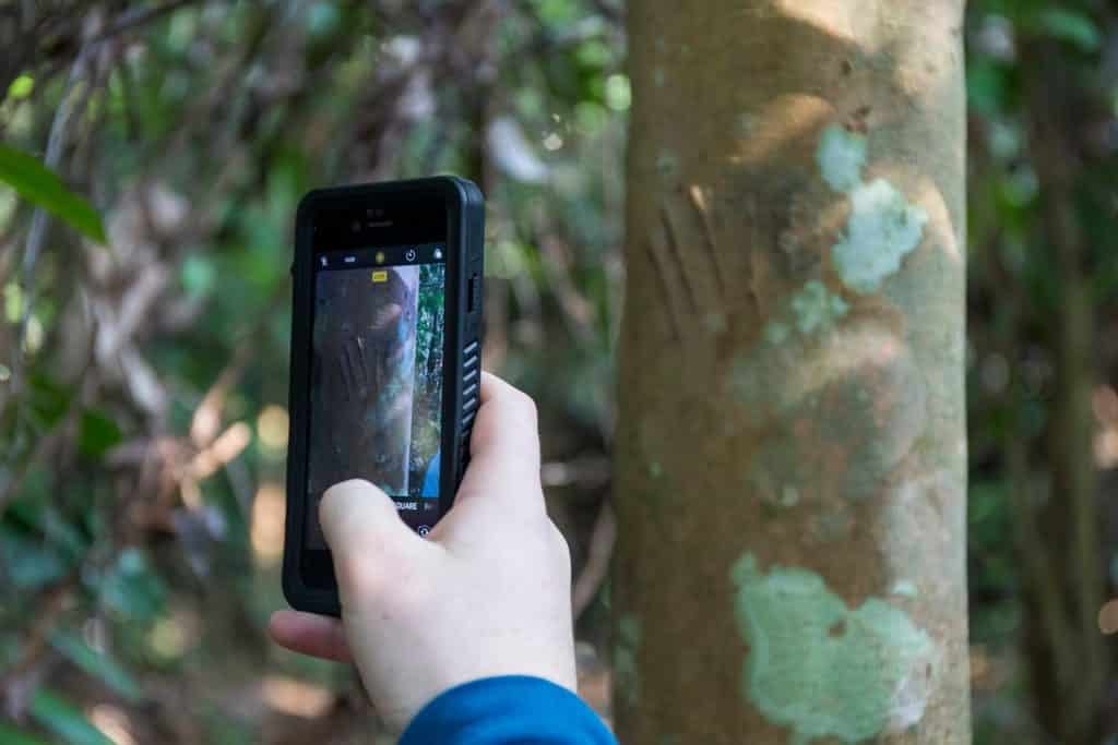 rainforest biology research university field trip malaysia