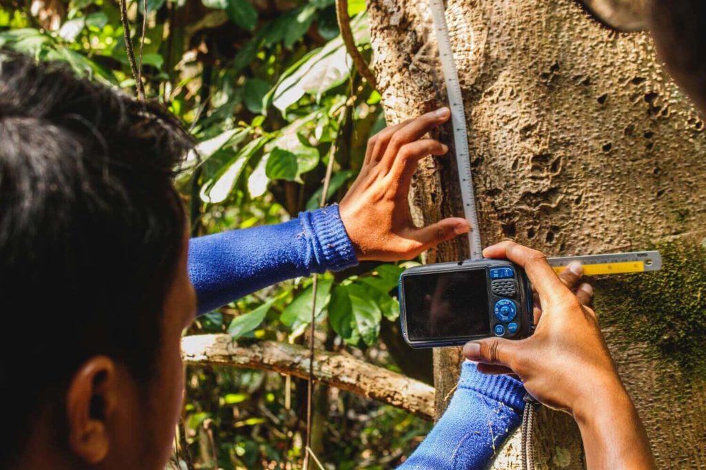 Rainforest conservation volunteer internship Malaysia