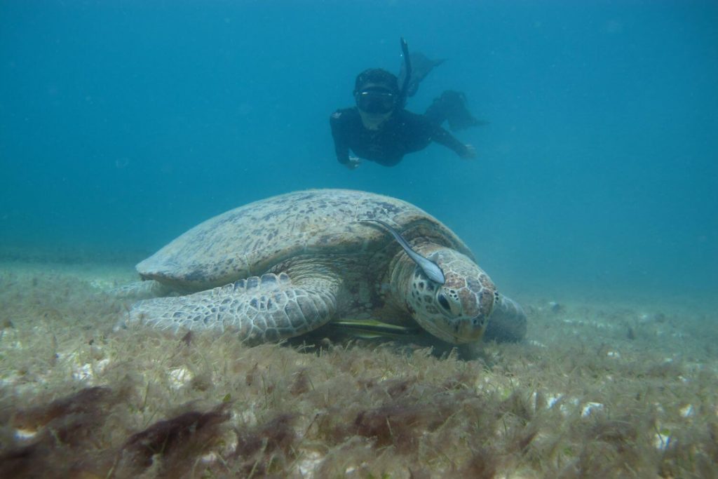 Eco day trips and holidays