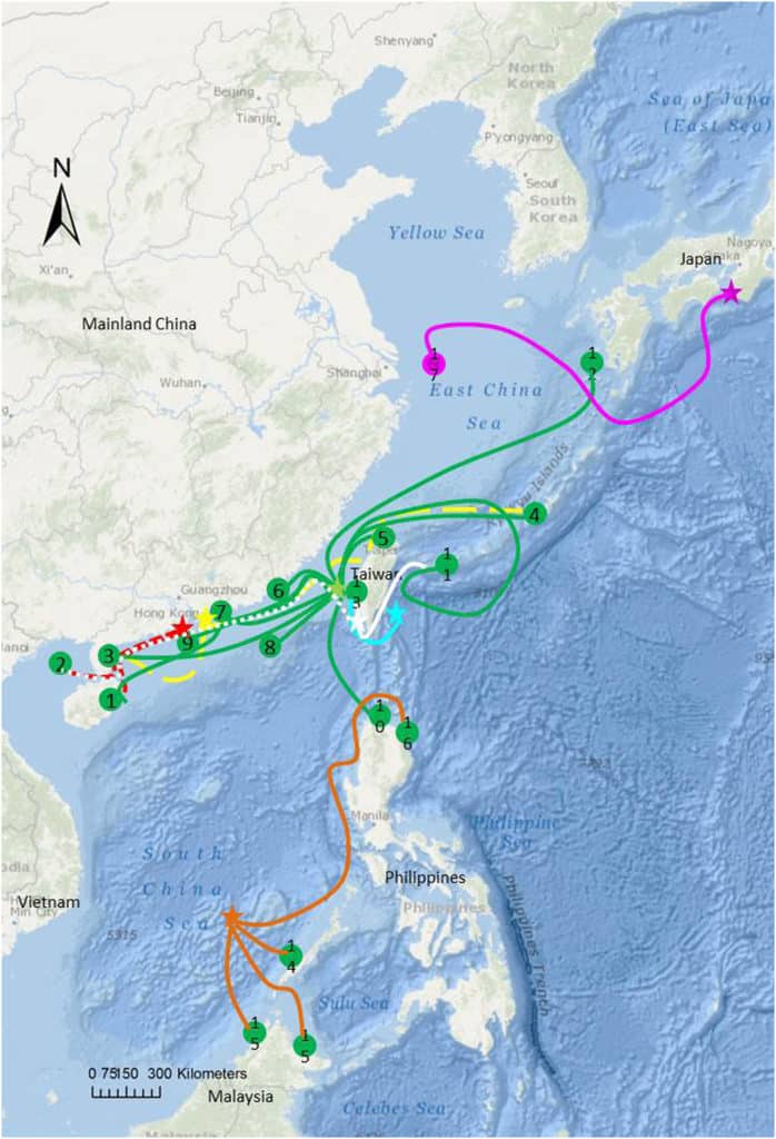 Green turtle migratoru routes in asia