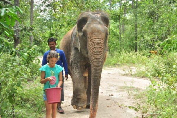 Volunteer wildlife rescue centre